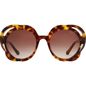 Ted Baker Aurora Damsolglasögon