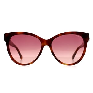 Moncler ML0283 52T havana bordeaux gradiënt zonnebril