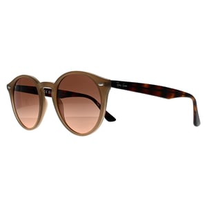 Ray-Ban 2180 678846 gepolijste tortledove roze gradiënt grijze zonnebril