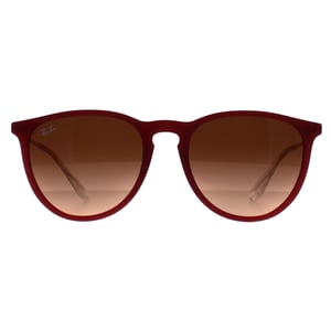 Ray-Ban Round Womens Polished Rubber Violet Pink Gradient Brown RB4171 Erika