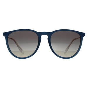 Ray-Ban RB4171 Erika 681311 gepolijst rubber blauw gradiÃ«nt grijs zonnebril