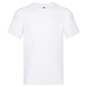 Fruit of the Loom Unisex Adult Original T-Shirt (White)
