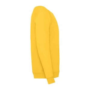 Fruit of the Loom Klassiek Raglan Sweatshirt voor kinderen/Kinderen (Zonnebloem)