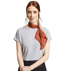 Premier Dames/vrouwenwerk Chiffon Formele Sjaal (Kastanje)