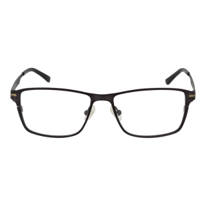 Citizen Brilframe CTZ1701 151 53