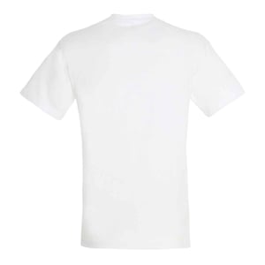 SOLS Mens Regent Short Sleeve T-Shirt (Absolute White)