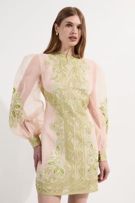 Petite Embroidered Organdie Balloon Woven Mini Dress