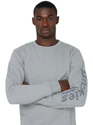 Dickies Grafisch Sweatshirt