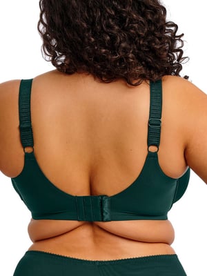 Cate Allure Full Cup Bra