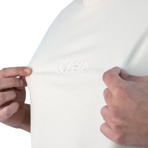 Men's Oversized Short Sleeve T-Shirt 3900