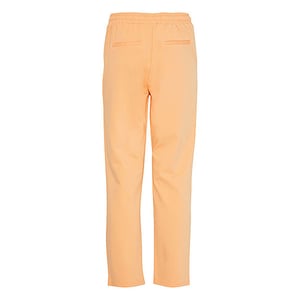 Fransa Broek 20605622 apricot wash