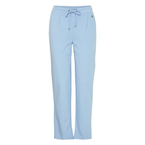 Fransa Broek 20605622 hydrangea
