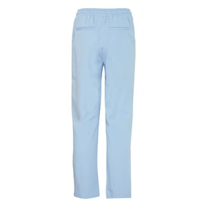 Fransa Broek 20605622 hydrangea