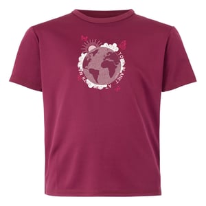 Regatta Kinderen/Kinderen Alvarado IX Aarde T-Shirt (Beaujolais)