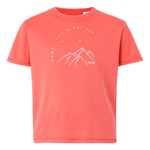 Regatta Kinderen/Kinderen Alvarado IX Berg T-Shirt (Perzikbloesem)