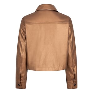 Esqualo Jas f24-11501 brandy