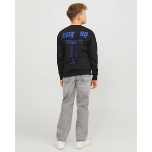 Jack & Jones Jeans 12251577