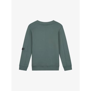 Malelions Jongens sweater turtle