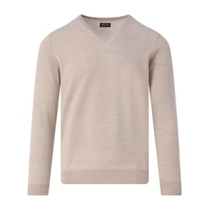 Recall V-neck sweater