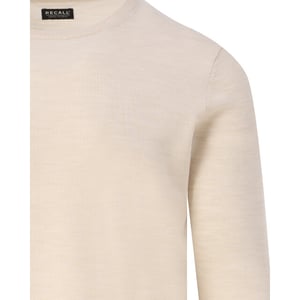Recall Crew-neck sweater