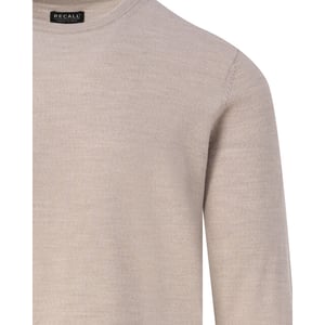 Recall Crew-neck sweater