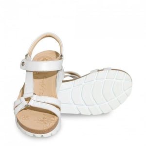 Panama Jack Sally basics b1