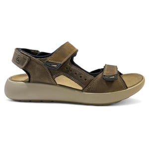 Ara 11-21506 piero