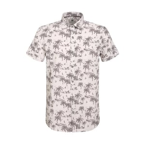 Gabbiano 335933 zand dessin