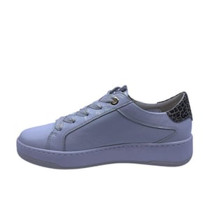 DL Sport 6504