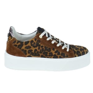 Floris van Bommel Sfw-10106