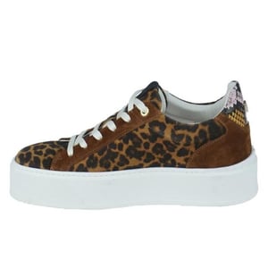 Floris van Bommel Sfw-10106
