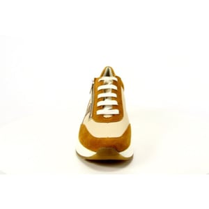 Solidus 46022
