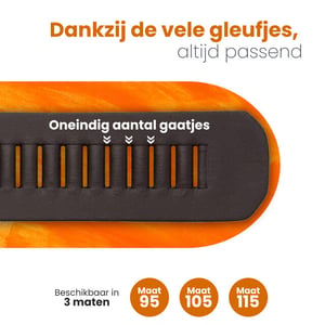 ARIESZZZ riem heren riem dames leder -