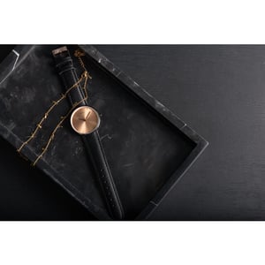 Karlsson watch finesse steel -