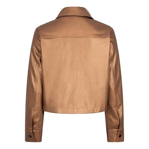 Esqualo Jas f24-11501 brandy