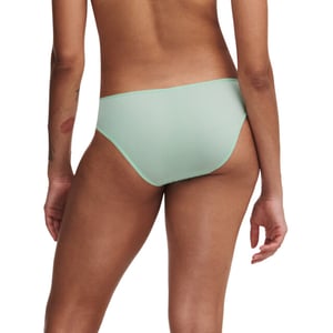 Passionata Maddie brief