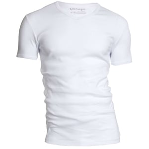 Garage Basis t-shirt v-hals semi bodyfit
