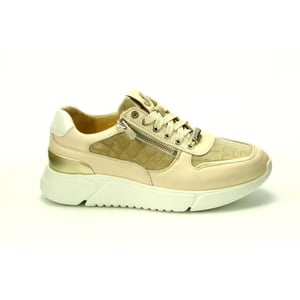 Footnotes 61.001 wijdte h