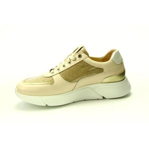 Footnotes 61.001 wijdte h