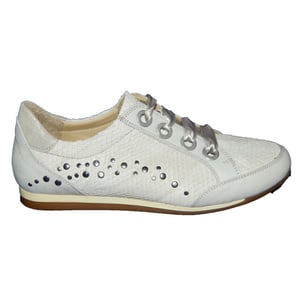 Footnotes 62.006 wijdte g