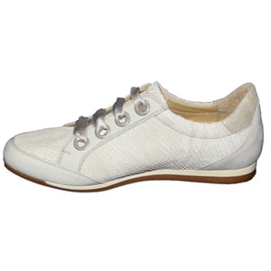 Footnotes 62.006 wijdte g