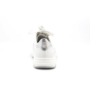 Solidus 66501