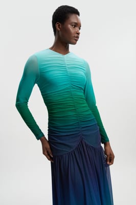 Long Sleeve Ombre Mesh Maxi Dress