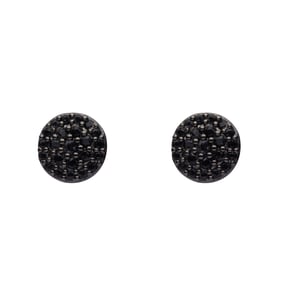 US Polo Assn Jewellery James Black Oorbellen