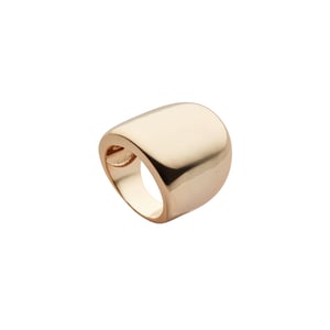 US Polo Assn Jewellery Athena Geelgouden Ring