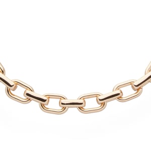 US Polo Assn Jewellery Adele Rhodium ketting