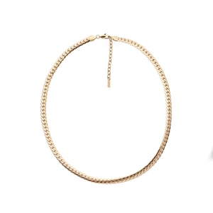US Polo Assn Jewellery Denver roestvrijstalen ketting