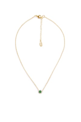 US Polo Assn Jewellery Celine Rhodium ketting