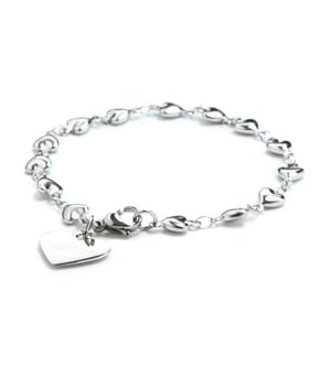 US Polo Assn Sieraden Odette roestvrijstalen armband