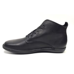 Loints of Holland 68172